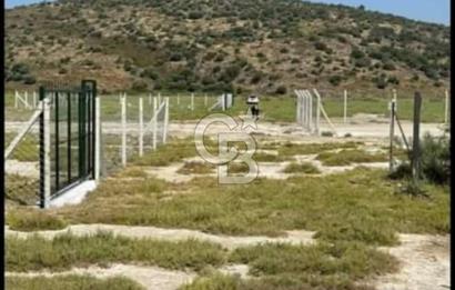 FOÇA YENİBAĞARASINDA KENDİ TAPUSU OLAN TARLA