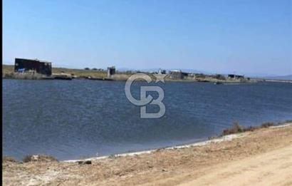 FOÇA YENİBAĞARASINDA KENDİ TAPUSU OLAN TARLA