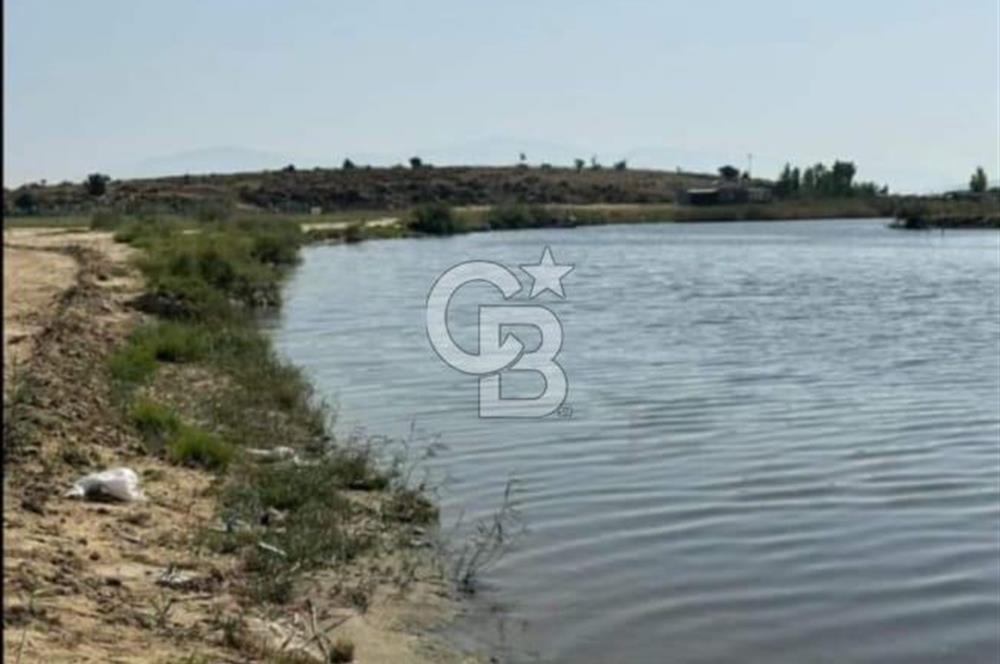 FOÇA YENİBAĞARASINDA KENDİ TAPUSU OLAN TARLA