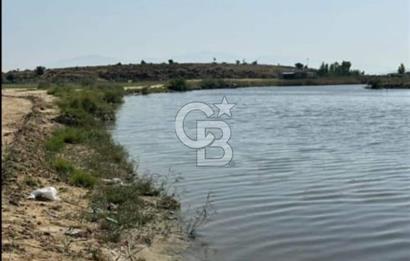 FOÇA YENİBAĞARASINDA KENDİ TAPUSU OLAN TARLA