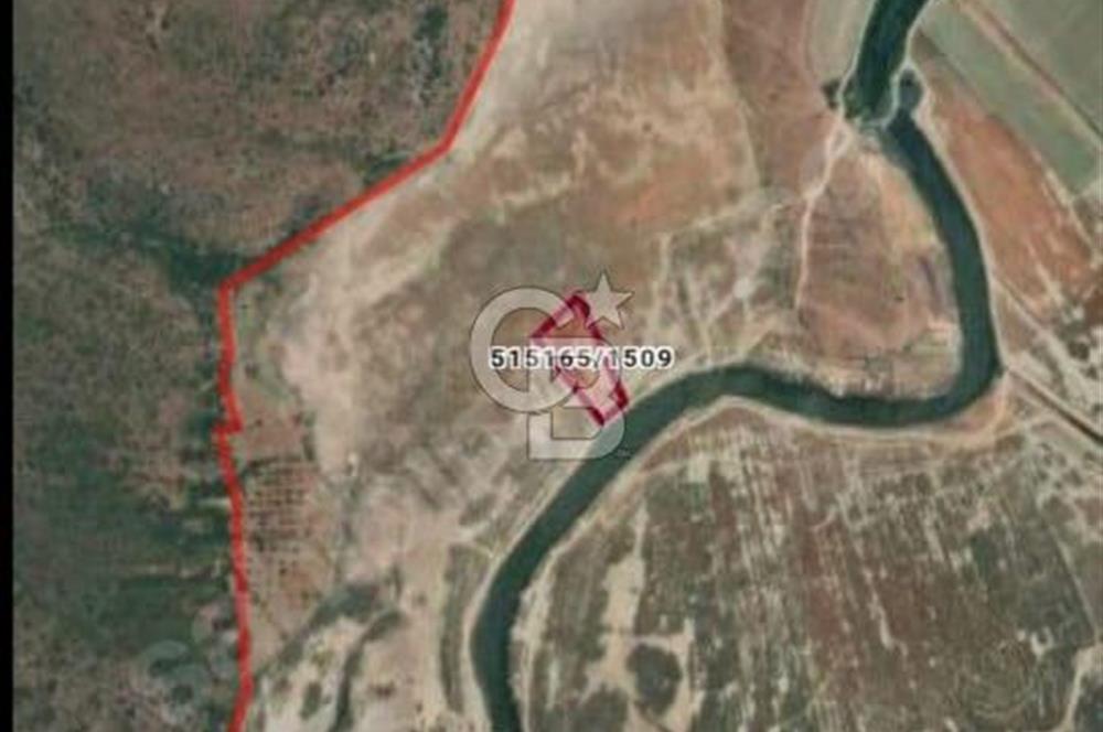 FOÇA YENİBAĞARASINDA KENDİ TAPUSU OLAN TARLA