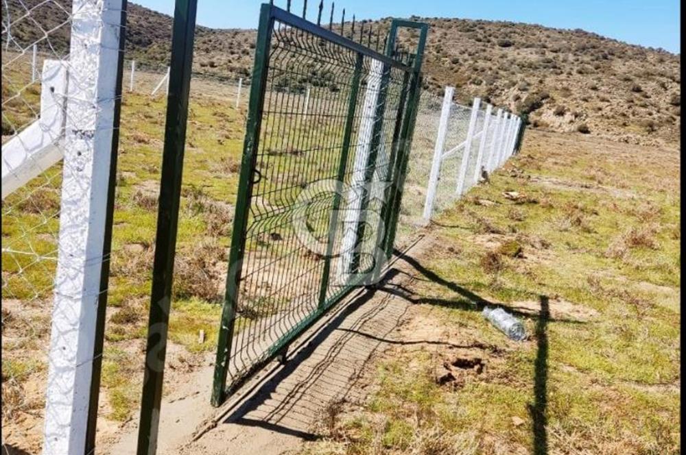FOÇA YENİBAĞARASINDA KENDİ TAPUSU OLAN TARLA
