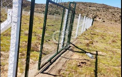 FOÇA YENİBAĞARASINDA KENDİ TAPUSU OLAN TARLA