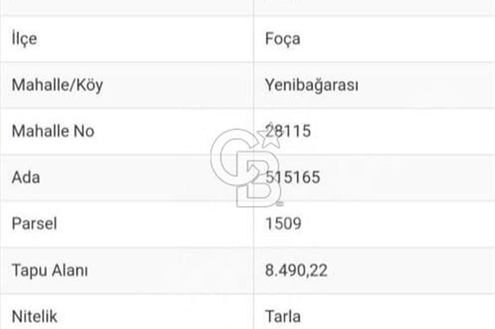 FOÇA YENİBAĞARASINDA KENDİ TAPUSU OLAN TARLA