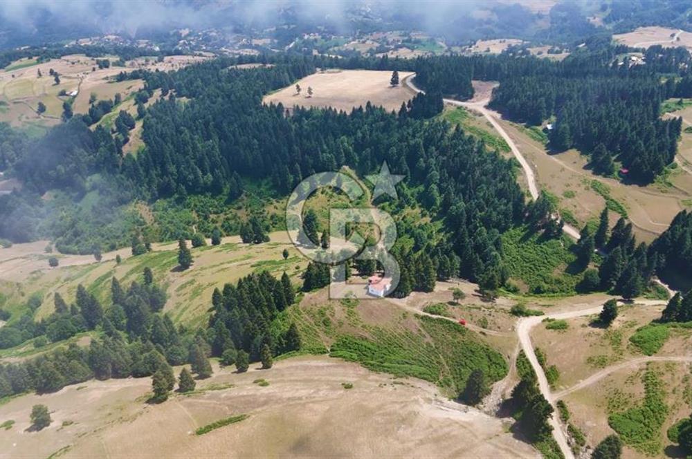SAMSUN YAKAKENT UZUNKIZ YAYLASINDA FIRSAT SATILIK TARLA