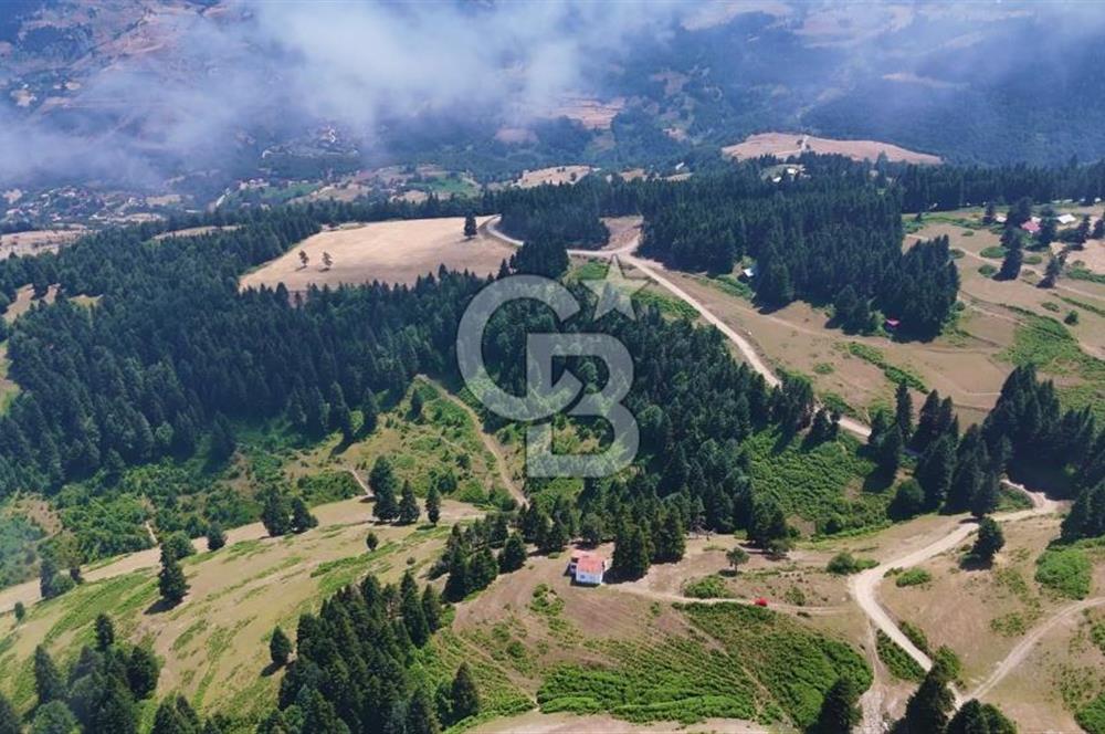 SAMSUN YAKAKENT UZUNKIZ YAYLASINDA FIRSAT SATILIK TARLA