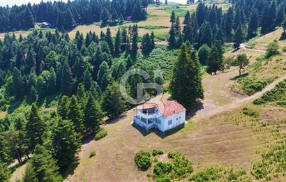 SAMSUN YAKAKENT UZUNKIZ YAYLASINDA FIRSAT SATILIK TARLA