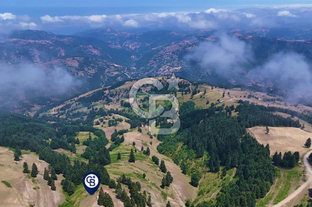 SAMSUN YAKAKENT UZUNKIZ YAYLASINDA FIRSAT SATILIK TARLA