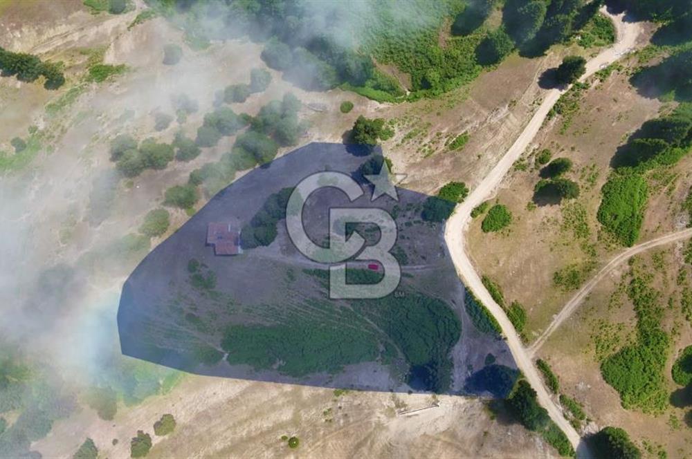 SAMSUN YAKAKENT UZUNKIZ YAYLASINDA FIRSAT SATILIK TARLA