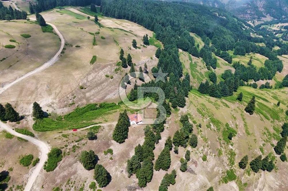 SAMSUN YAKAKENT UZUNKIZ YAYLASINDA FIRSAT SATILIK TARLA