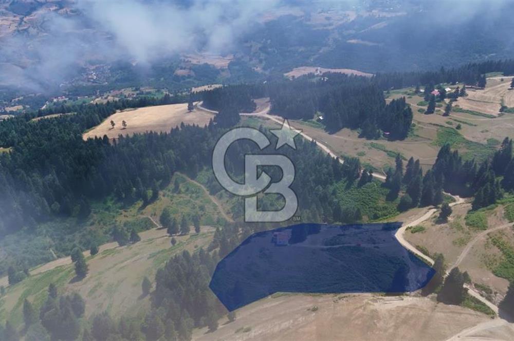 SAMSUN YAKAKENT UZUNKIZ YAYLASINDA FIRSAT SATILIK TARLA
