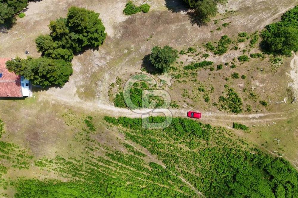 SAMSUN YAKAKENT UZUNKIZ YAYLASINDA FIRSAT SATILIK TARLA