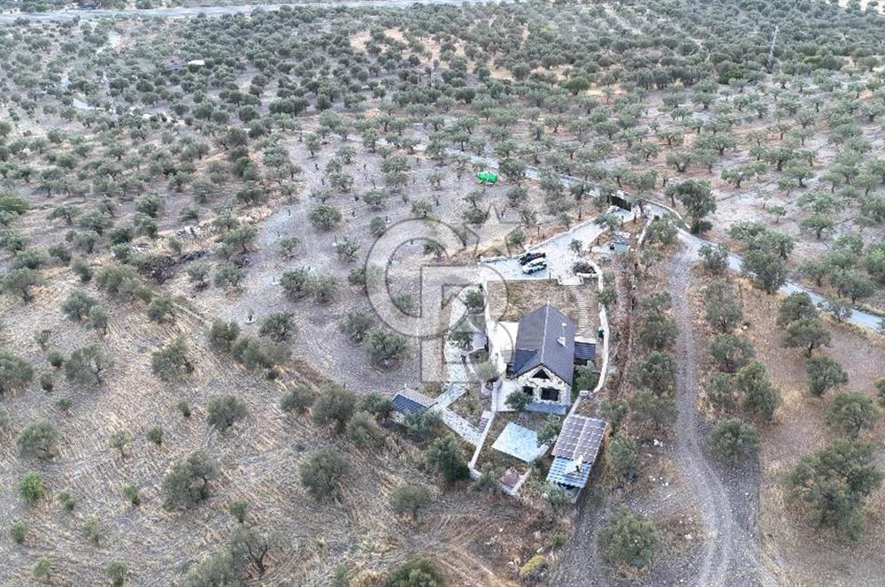 ŞAKRAN RUMDERESİ MEVKİSİNDE 8.430 M2 ZEYTİNLİK İÇERİSİNDE VİLLA