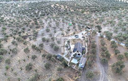 ŞAKRAN RUMDERESİ MEVKİSİNDE 8.430 M2 ZEYTİNLİK İÇERİSİNDE VİLLA