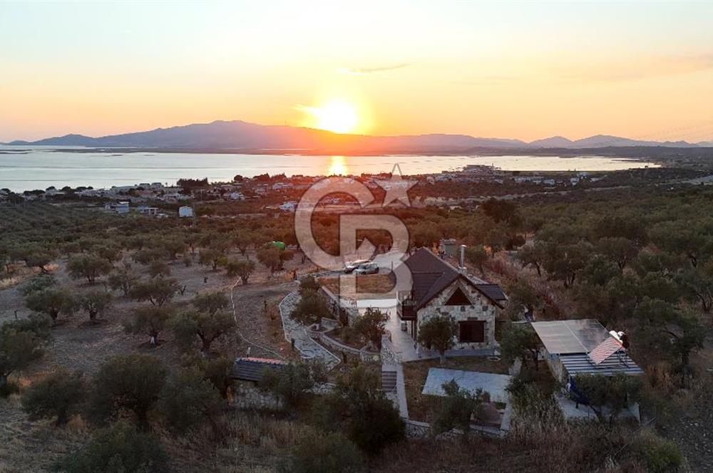 ŞAKRAN RUMDERESİ MEVKİSİNDE 8.430 M2 ZEYTİNLİK İÇERİSİNDE VİLLA