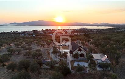 ŞAKRAN RUMDERESİ MEVKİSİNDE 8.430 M2 ZEYTİNLİK İÇERİSİNDE VİLLA