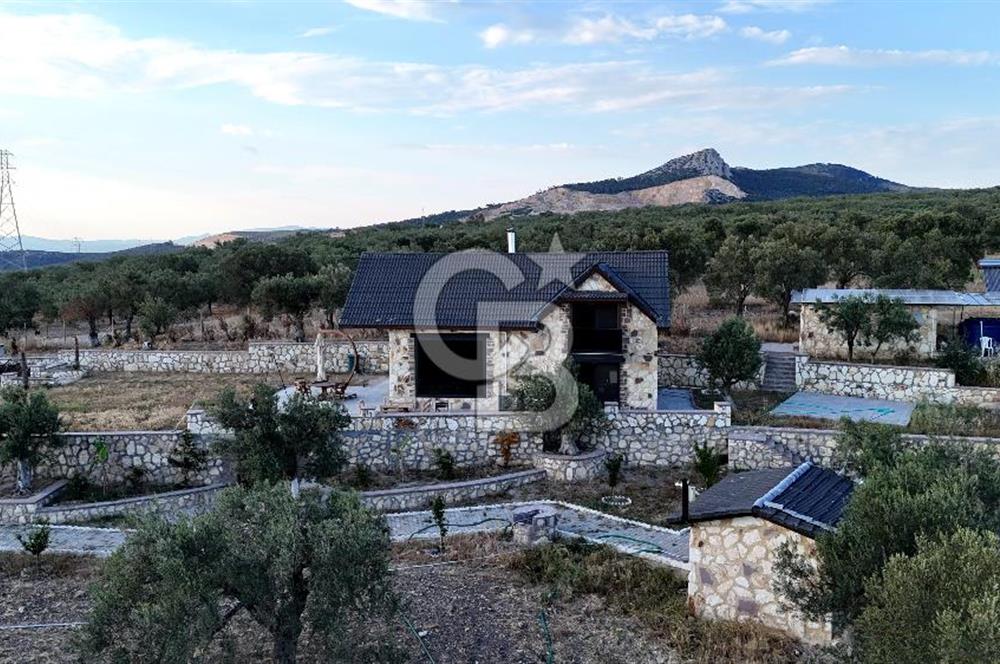 ŞAKRAN RUMDERESİ MEVKİSİNDE 8.430 M2 ZEYTİNLİK İÇERİSİNDE VİLLA