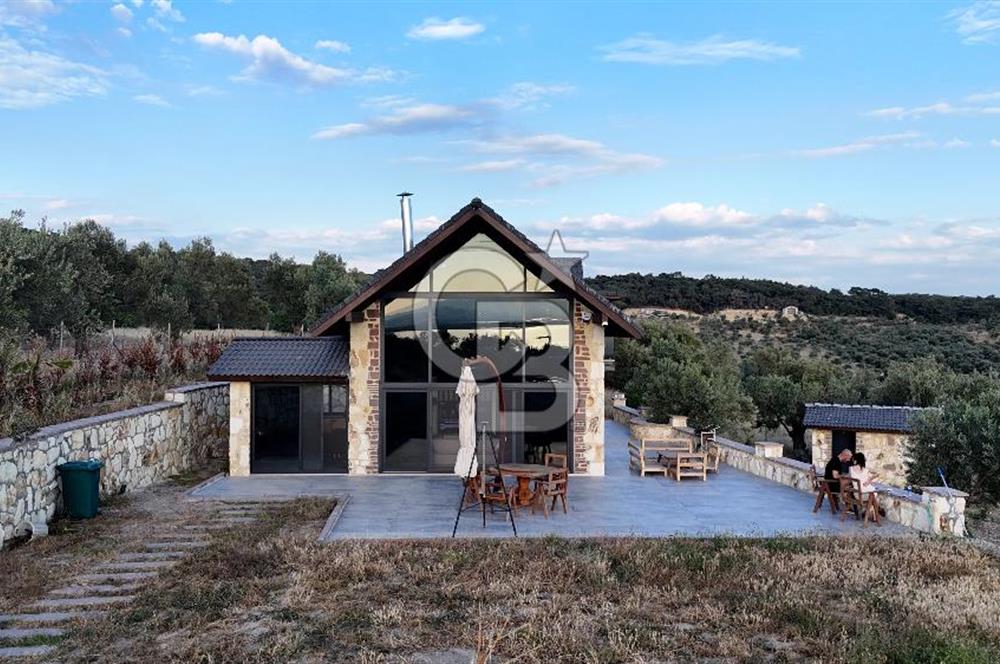 ŞAKRAN RUMDERESİ MEVKİSİNDE 8.430 M2 ZEYTİNLİK İÇERİSİNDE VİLLA
