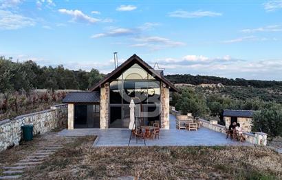 ŞAKRAN RUMDERESİ MEVKİSİNDE 8.430 M2 ZEYTİNLİK İÇERİSİNDE VİLLA