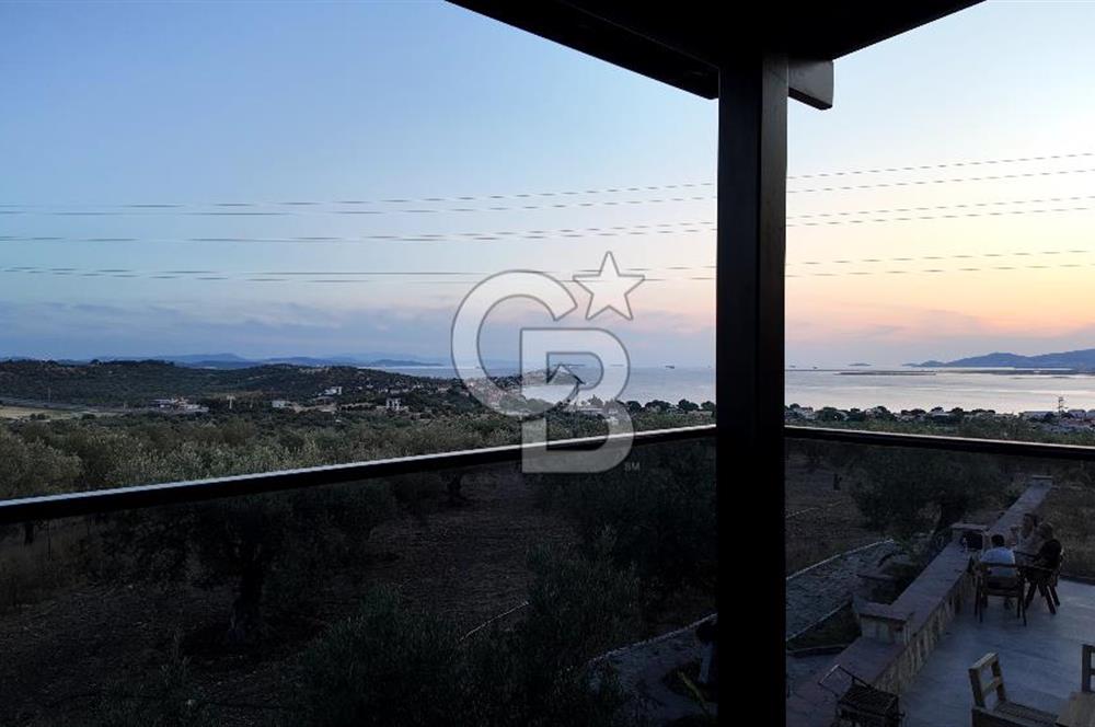 ŞAKRAN RUMDERESİ MEVKİSİNDE 8.430 M2 ZEYTİNLİK İÇERİSİNDE VİLLA