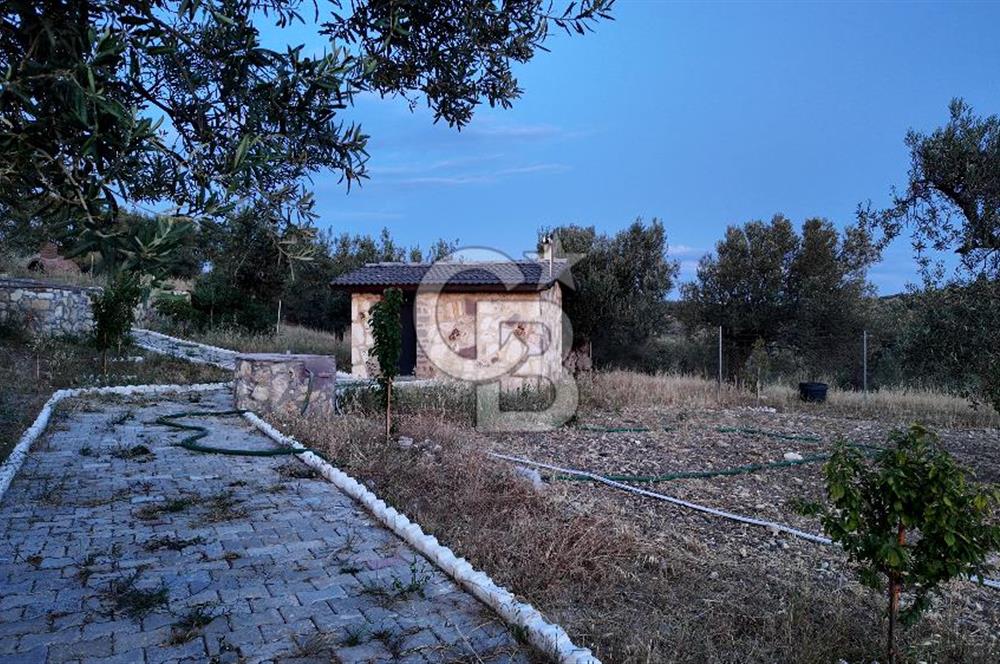 ŞAKRAN RUMDERESİ MEVKİSİNDE 8.430 M2 ZEYTİNLİK İÇERİSİNDE VİLLA