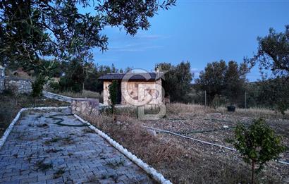 ŞAKRAN RUMDERESİ MEVKİSİNDE 8.430 M2 ZEYTİNLİK İÇERİSİNDE VİLLA