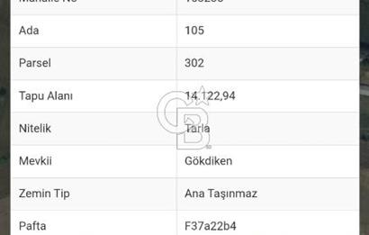 Samsun Çarşamba satılık tarla