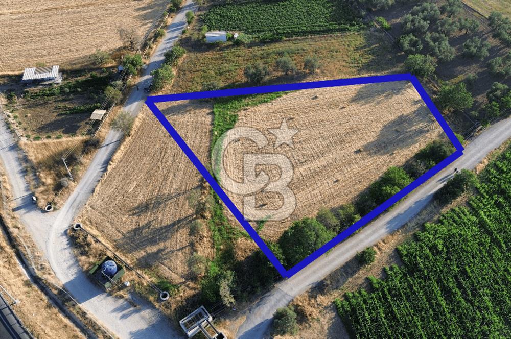 Menemen Hatundere'de Satılık Bağ