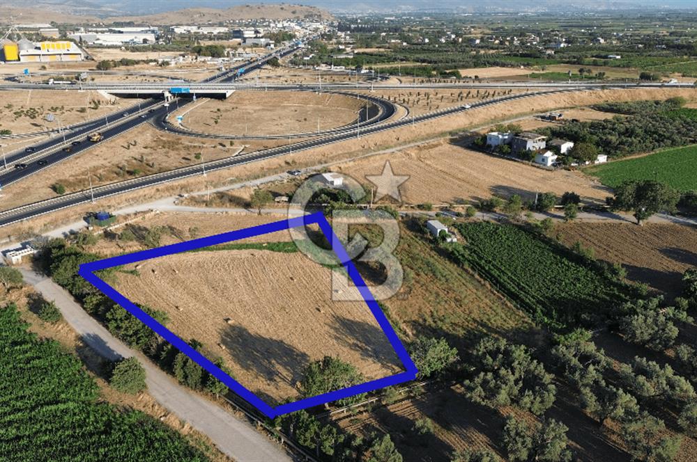 Menemen Hatundere'de Satılık Bağ