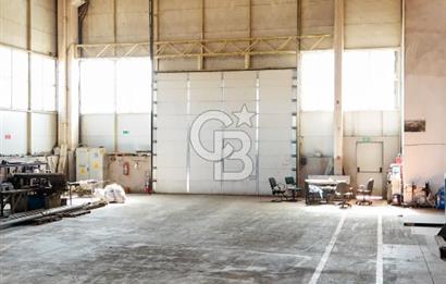 CB PREMIUM'DAN YÜKSEK CİROLU, HALEN FAAL, TAM TEÇHİZATLI FABRİKA