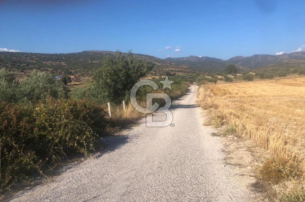 İzmir Dikili'de Deniz Manzaralı 2000 M2 Kooperatif Arsası