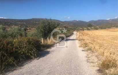 İzmir Dikili'de Deniz Manzaralı 2000 M2 Kooperatif Arsası