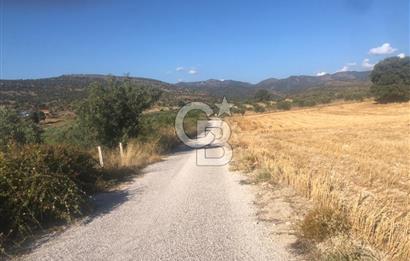 İzmir Dikili'de Deniz Manzaralı 2000 M2 Kooperatif Arsası