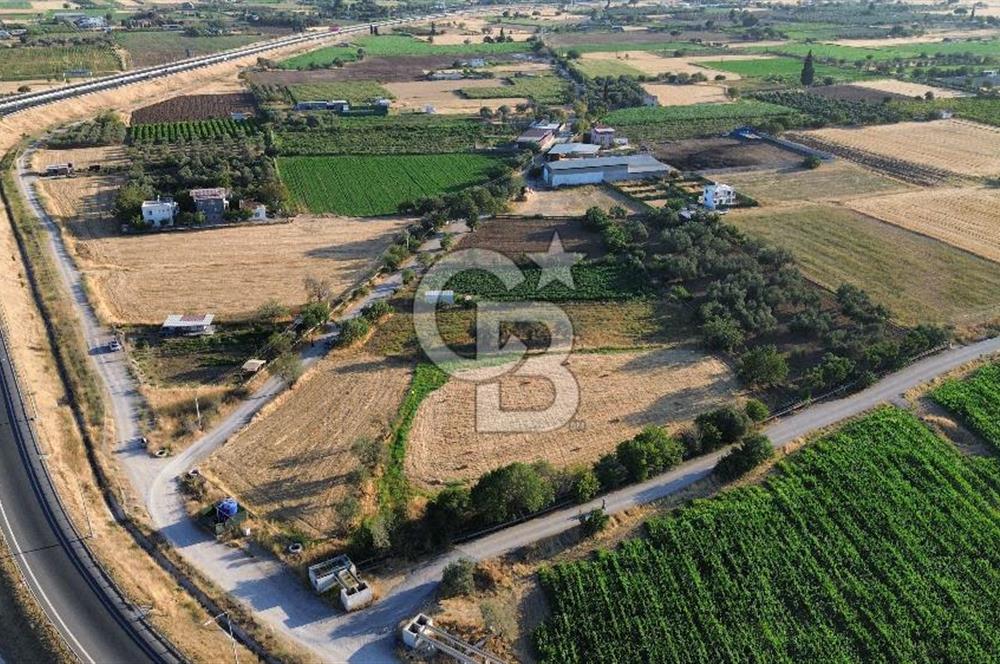 Menemen Hatundere'de Satılık Bağ