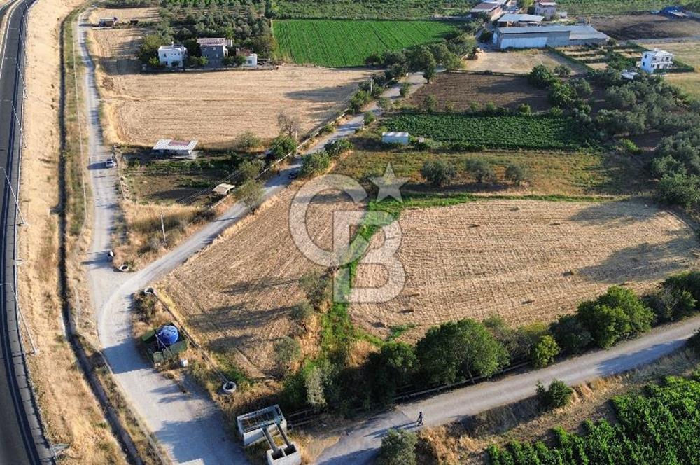 Menemen Hatundere'de Satılık Bağ