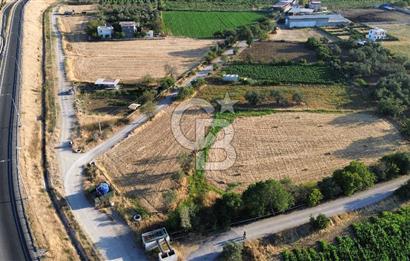 Menemen Hatundere'de Satılık Bağ
