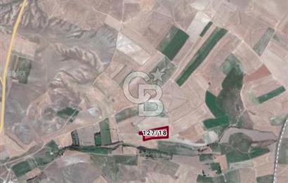 Polatlı Beyceğiz'de 300 M2 Satılık Kooperatif Hissesi Tarla