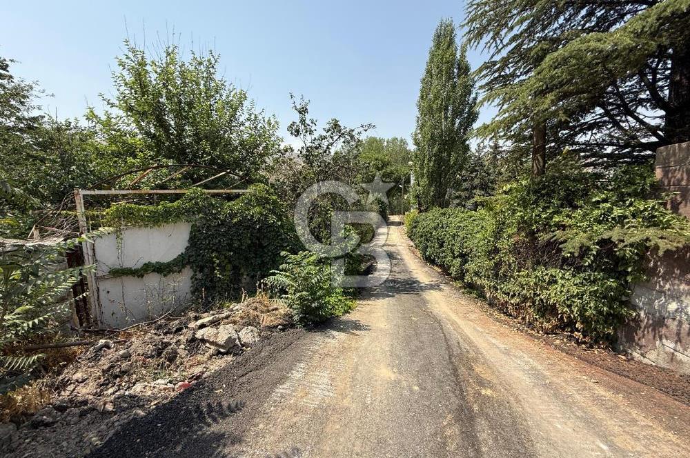 COLDWELL BANKER SAFİR'den GÜNDÜZBEY de VİLLA İMARLI SATILIK ARSA