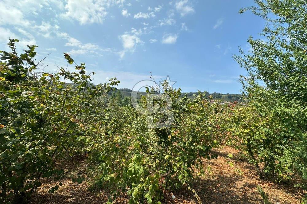 1697 m2 İÇERİSİNDE MÜSTAKİL EV BAHÇE KOMPLE SATILIK ARAZİ