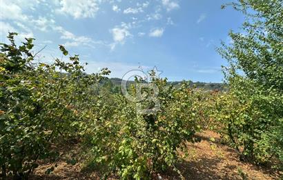 1697 m2 İÇERİSİNDE MÜSTAKİL EV BAHÇE KOMPLE SATILIK ARAZİ