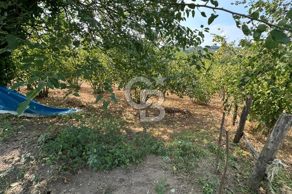 1697 m2 İÇERİSİNDE MÜSTAKİL EV BAHÇE KOMPLE SATILIK ARAZİ
