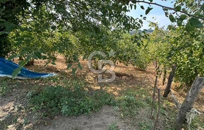 1697 m2 İÇERİSİNDE MÜSTAKİL EV BAHÇE KOMPLE SATILIK ARAZİ