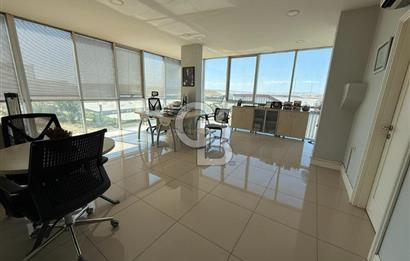 CB PREMIUM'DAN YÜKSEK CİROLU, HALEN FAAL, TAM TEÇHİZATLI FABRİKA