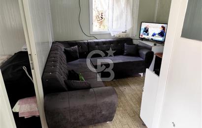 BAYINDIR KABAAĞAÇ'TA MÜSTAKİL TAPULU OTURUMA HAZIR ZEYTİNLİK