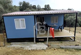 BAYINDIR KABAAĞAÇ'TA MÜSTAKİL TAPULU OTURUMA HAZIR ZEYTİNLİK