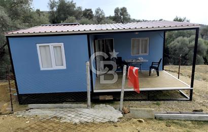 BAYINDIR KABAAĞAÇ'TA MÜSTAKİL TAPULU OTURUMA HAZIR ZEYTİNLİK