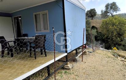 BAYINDIR KABAAĞAÇ'TA MÜSTAKİL TAPULU OTURUMA HAZIR ZEYTİNLİK