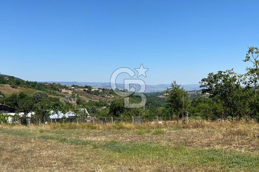 GÖLCÜK YENİ FERHADİYE'DE İMARA YAKIN 8029 m2 BAHÇE