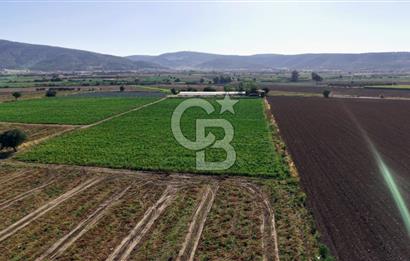CUMHURİYET MAHALLESİ, TORBALI'DA İMAR SINIRINDA SATILIK ARAZİ!