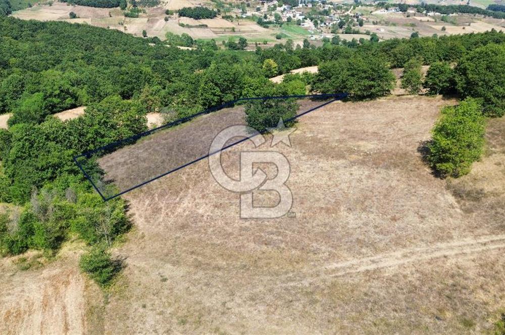 İZMİT BÖĞÜRGEN'DE 2704 m² SATILIK YATIRIMLIK TARLA